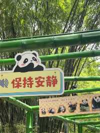 廣州長隆野生動物園