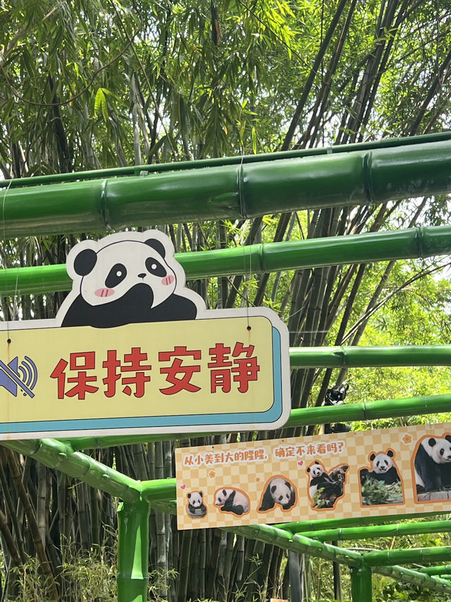 廣州長隆野生動物園