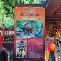วัดโพธิ์บางคล้า