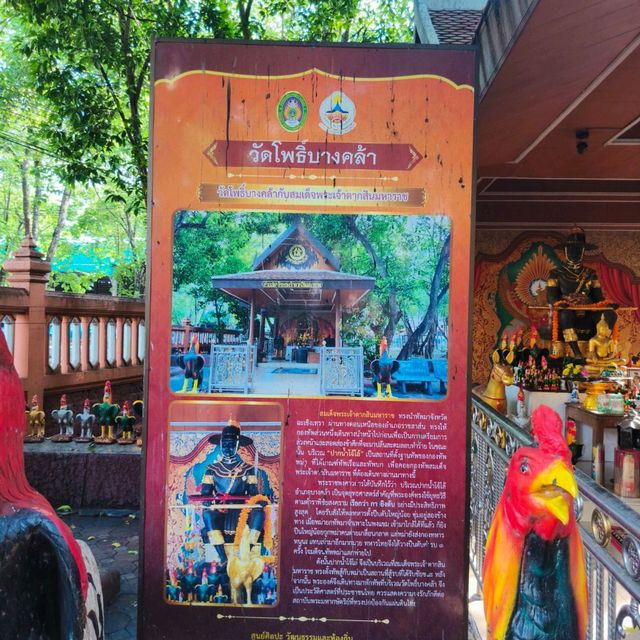 วัดโพธิ์บางคล้า