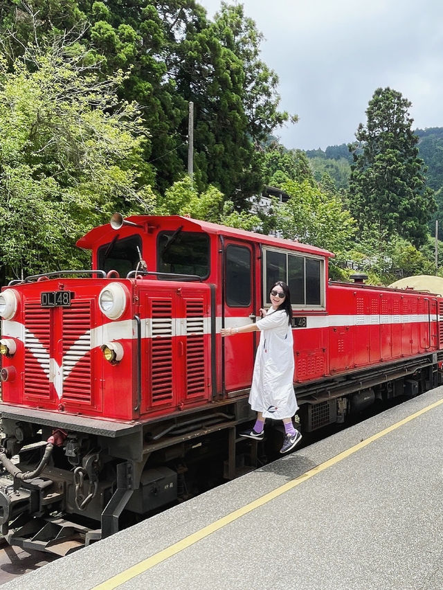 懷念的阿里山森林小火車