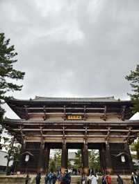 國家風景名勝區，奈良公園