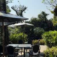 ZHIV COFF คาเฟ่กาแฟตุรกี RAYONG 