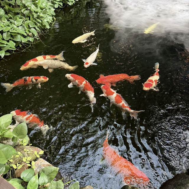 深圳市內的世外桃源