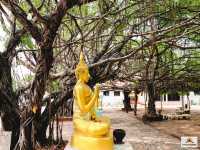 วัดประมวลราษฎร์ 
