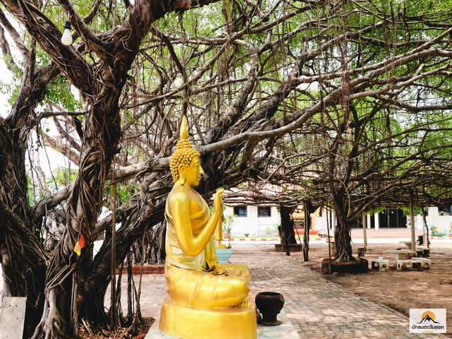 วัดประมวลราษฎร์ 