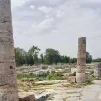走讀Paestum帕埃斯圖姆