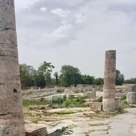 走讀Paestum帕埃斯圖姆