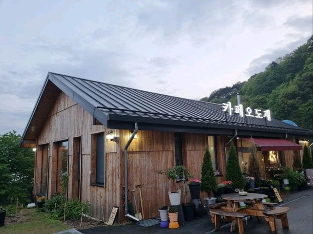 Lost in Nature (and Loving It) at Jirisan Odojae