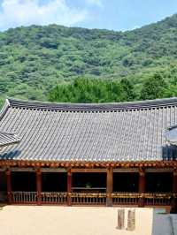 주말이 더욱 빛나는 나들이, 고성 옥천사🌿