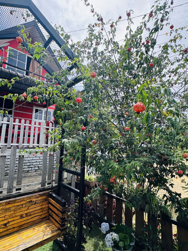 Garden Feels & Berry Delights