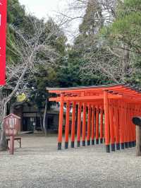 จุดเช็คอิน ที่สวยงามในคุมาโมโตะ🇯🇵