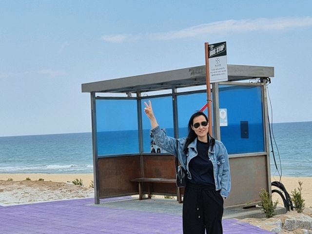 강원도 양구, 고성여행