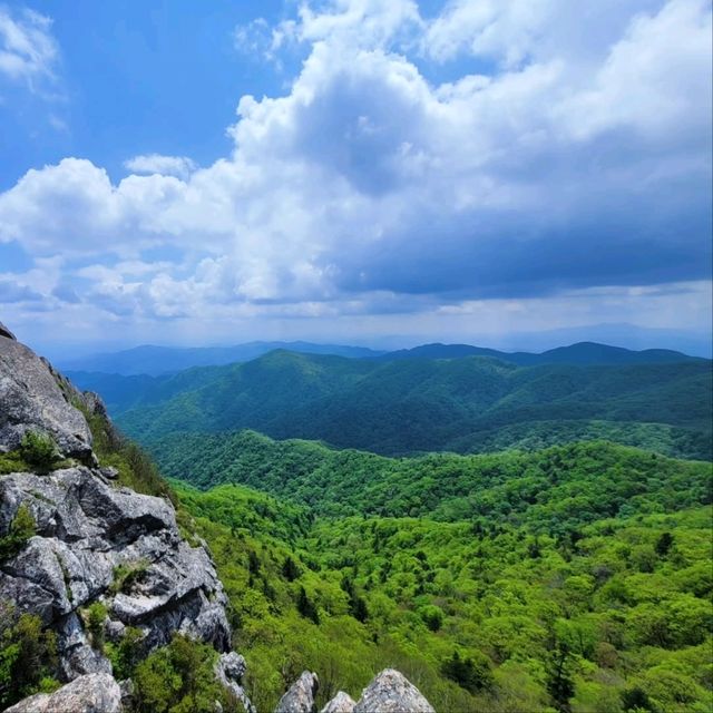 Korea's First Ramsar Wetland