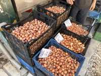 【Kapani Market（カパニ・マーケット）｜地元の暮らしが息づく、テッサロニキ最古の市場】