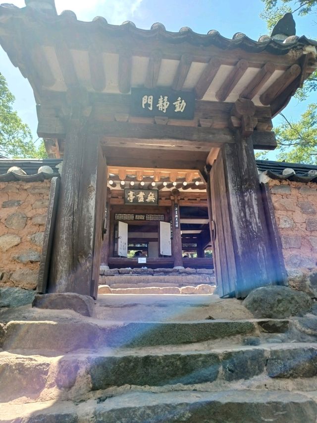전통과 불빛이 어우러진 곳