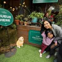 Snow White Magic: A Sydney Icon