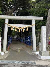 📍**【茨城・日立 泉神社（龍泉神社）】清泉と“龍の宿る木”が生むパワースポットで心を潤す旅**