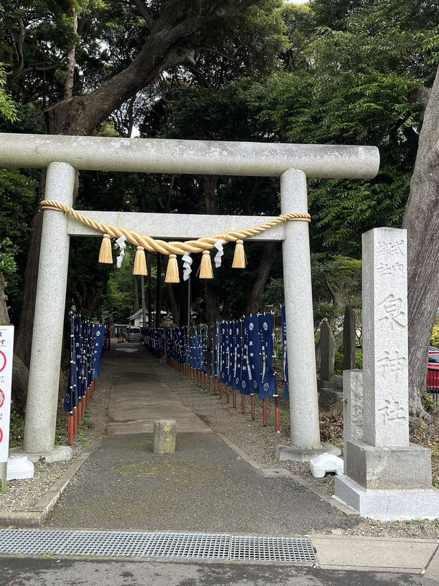 📍**【茨城・日立 泉神社（龍泉神社）】清泉と“龍の宿る木”が生むパワースポットで心を潤す旅**