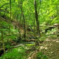 Rocky Ridges & Peaceful Vibes, Ilwolsan Delivers