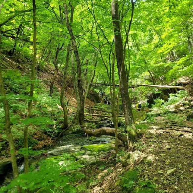 Rocky Ridges & Peaceful Vibes, Ilwolsan Delivers