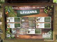 Farm In The City KL – A Fun and Hands-On Experience for the Whole Family