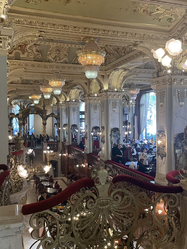 【世界一美しいカフェがある国ハンガリー🇭🇺のおすすめカフェ3選】