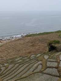 海に続く棚田の絶景🌾白米千枚田で心ほどける自然旅