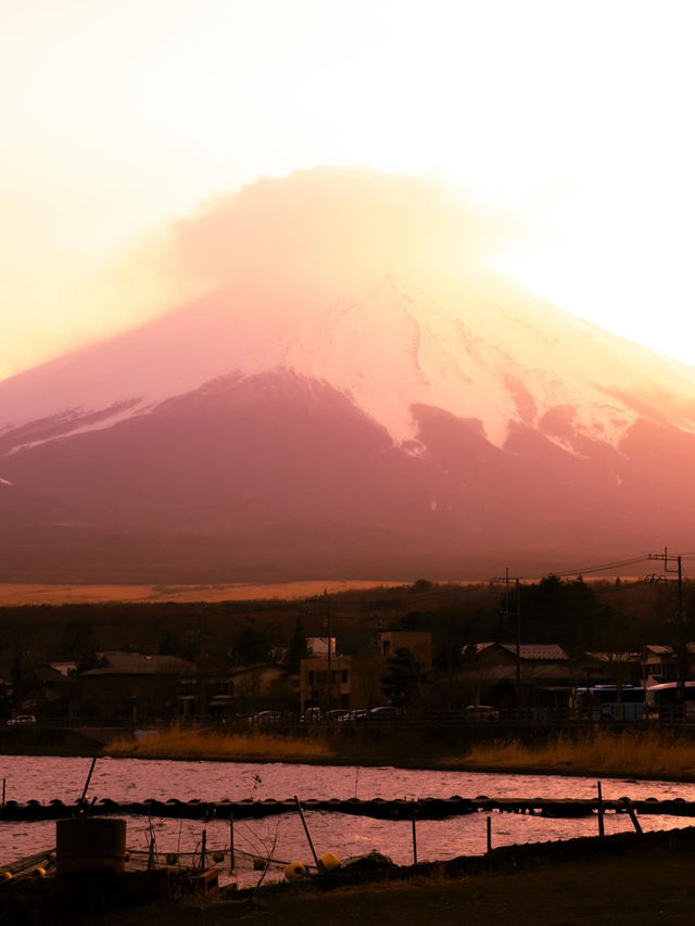【富士山で心震える絶景旅】日本一の山で自然と歴史に触れる🌄🗻