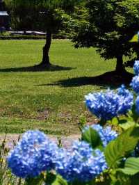 【足羽山公園で四季を感じる癒し旅】福井市街の緑のオアシス🌸🍁🌳