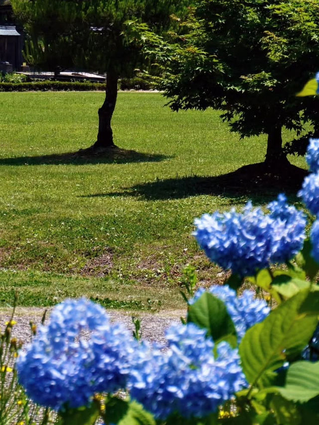 【足羽山公園で四季を感じる癒し旅】福井市街の緑のオアシス🌸🍁🌳