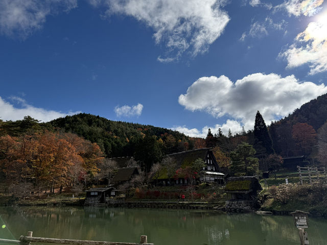 【飛騨高山】藁葺き屋根が素敵な屋外博物館🍁