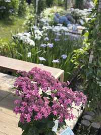 花に癒される！季節の花畑͛💠有名な観光地は？