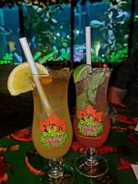 🌿Rainforest Café｜尼加拉瓜瀑布旁的叢林派對 