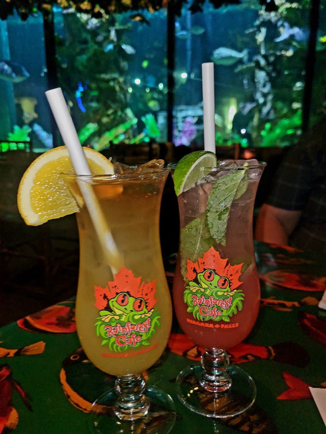 🌿Rainforest Café｜尼加拉瓜瀑布旁的叢林派對 