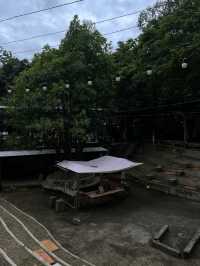 บ้านข้างวัด เชียงใหม่ 