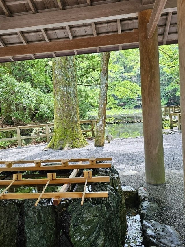 日本人一生必訪的心靈故鄉〔伊勢神宮〕⛩️✨