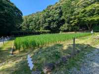 伊勢 | 猿田彥神社，參拜指點人生新方向的神明