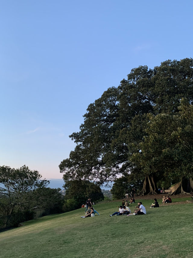 살고싶은 도시 시드니 🇦🇺🐨