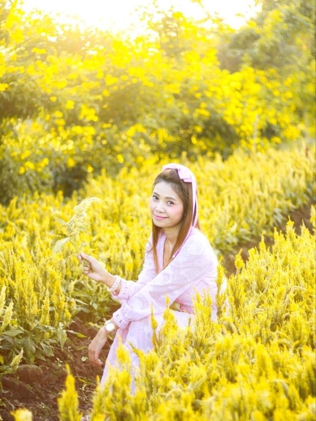 ชวนเที่ยวสวรดอกไม้ เชียงใหม่