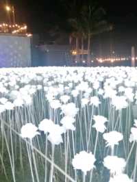 My experience at 10000 roses cafe and more
