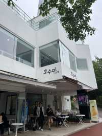 호수 산책로를 걸으며