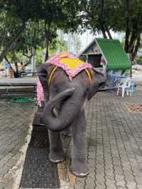 พาทัวร์สวนนงนุช พัทยา ปี 2025