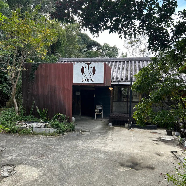 【日本・兵庫🇯🇵】淡路島の“まるごと玉ねぎカレー”が最高！