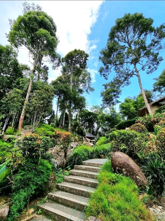 A Touch of Japan in Bukit Tinggi Malaysia