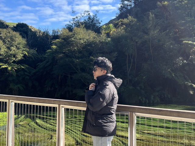 💧新西蘭 Blue Spring 拍照打卡全攻略｜入口紅樹＋夢幻藍泉打卡點一文掌握！ 