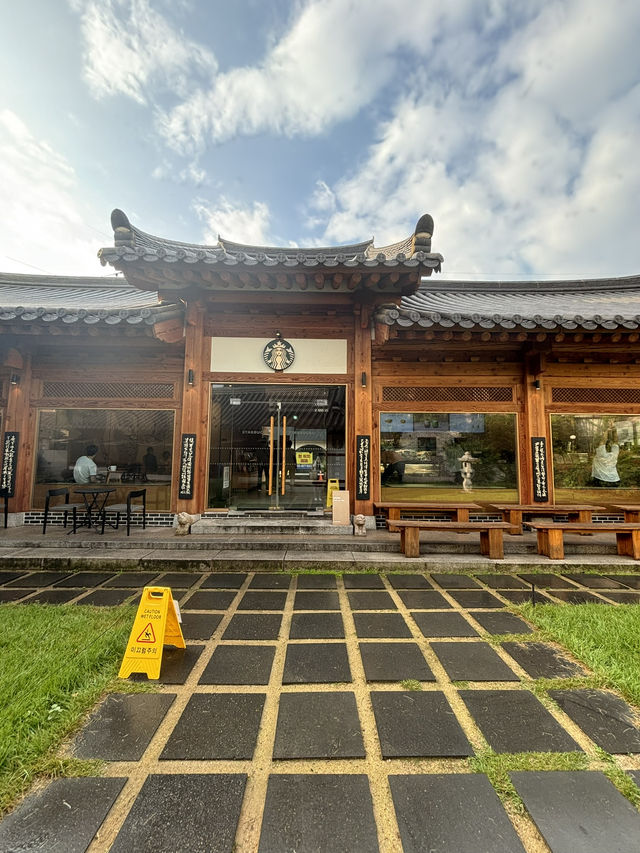【韓国・大邱】おすすめカフェ☕️