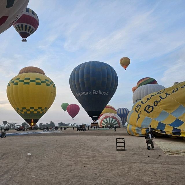 🎈 40달러로 하늘을 나는 기적, 이집트 룩소르 열기구 체험 🇪🇬
