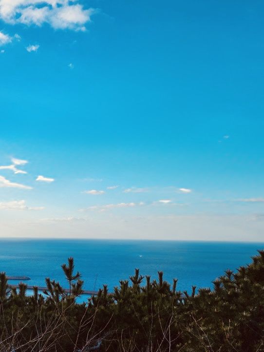 Commanding Daytime Vistas of Jeju's Coast and City