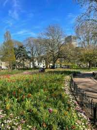 Gorsedd Gardens Raod
